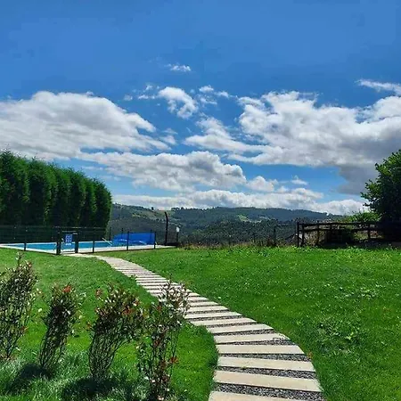 La Campa De Faedoangelina קודילרו